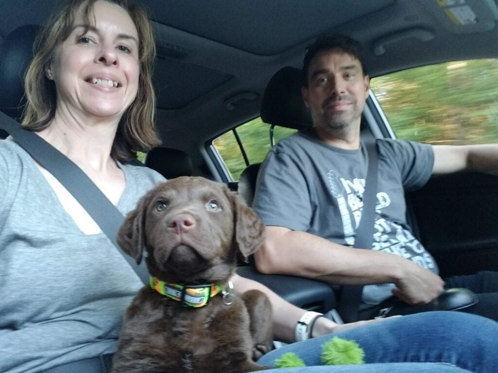 pick-up-puppy-day